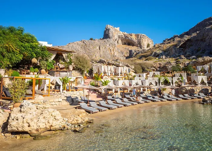 Livis 1 * كوتاري